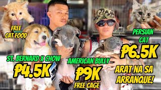 Arranque Pet Market Part 1  June 08 2023  Recto Manila [upl. by Kramal610]