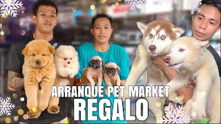 REGALO  ARRANQUE PET MARKET  DECEMBER 21 2023 [upl. by Elaynad401]