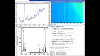 Intro to DIY Raman Spectroscopy [upl. by Acinod]