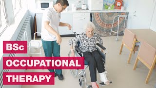 Occupational Therapy  A day in the life on Placement [upl. by Guendolen482]