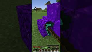 nether portal block Luck 4224 Moment meme shorts minecraft [upl. by Acinna]