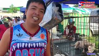 BOCAUE PET MARKET MGA IBAT IBANG LAHI NG ASO BINEBENTA NG MURA SA BOCAUE TARA SILIPIN NATIN vlog [upl. by Philippine]