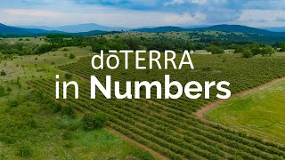 doTERRA In Numbers 2023 [upl. by Fortunia]