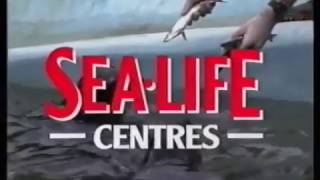 SeaLife Centre Advert 1996 [upl. by Shawnee139]