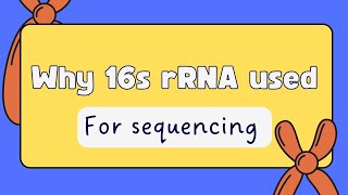 why 16s r RNA might be used in sequencing as a molecular marker [upl. by Chandra]