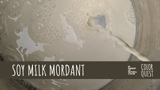 HOW TO USE SOY MILK TO MORDANT TEXTILE FOR NATURAL DYE  ORGANIC COLOR  COTTON LINEN HEMP SILK WOOL [upl. by Nnaeinahpets]