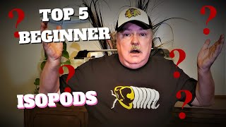 Top 5 Beginner Isopods [upl. by Magdau402]