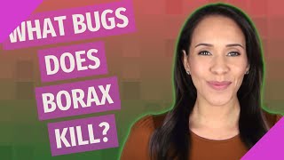 What bugs does borax kill [upl. by Sena]