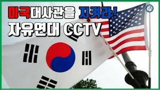 한미동맹강화 1인시위 cctv [upl. by Inatirb]