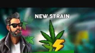 Hempire weed growing game new strains [upl. by Derdle763]