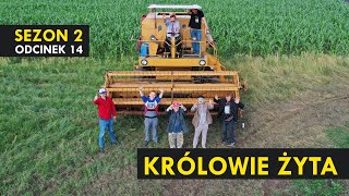 KRÓLOWIE ŻYTA Sezon 2 odc 14 I Kabaret Malina [upl. by Helaine499]