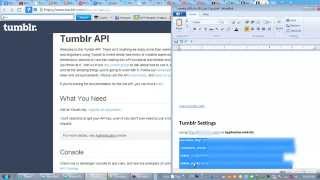 Tumblr API Settings [upl. by Shayn851]