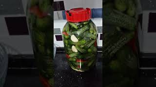 Uzun hali kanalimda kış hazırlığı yapanlara kıtır kıtır kornişon turşusu tarifipickled gherkins [upl. by Tiffani167]