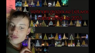 VERTINAM LIETUVOS MIESTU EGLUTES  Tier List [upl. by Lashondra]