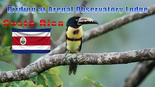 Birding In Costa Rica at Arenal Observatory Lodge  Bird Photography [upl. by Ankeny945]