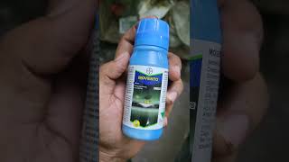 Movento insecticide bayer Spirotetramet 1531 od how to control whitefly ytshorts shorts viral [upl. by Mali]