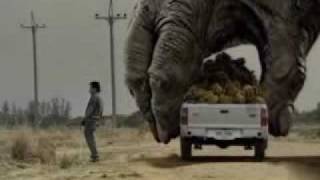 Two Giant Gorilla plays the car [upl. by Amilb]