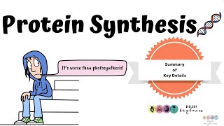 Biology Bugbears Protein SynthesisLeaving Cert Biology 2025New Video Summary [upl. by Nov]