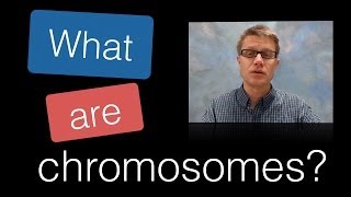 What are Chromosomes [upl. by Nwahsauq]