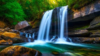 10 hours Waterfall Symphony Ultimate Relaxation Music Forest Soundbirds sound anxiety ASMR♻ [upl. by Ailahtan]