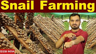 Snail farming in india  Snail Harvesting  Snail palan  घोंघा की खेती  Snail egg Farm farming [upl. by Petigny]