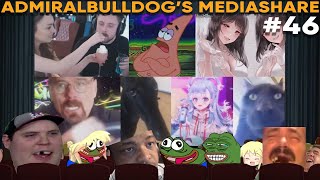 AdmiralBulldogs Mediashare 46 [upl. by Lleuqar]