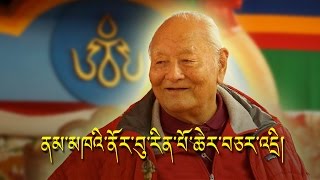 Origin of Tibetan Script and Shangchung ཆོས་རྒྱལ་ནམ་མཁའི་ནོར་བུ་རིན་པོ་ཆེ་ལ་དམིགས་བསལ་བཅར་འདྲི། [upl. by Polinski]