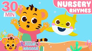 Baby Shark  Baa Baa Black Sheep  more Little Mascots Nursery Rhymes amp Kids Songs [upl. by Chrissie]