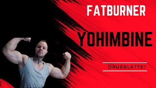 Yohimbine Fatburner und Dauerlatte [upl. by Suzanna]