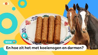 Worden frikandellen echt van paard gemaakt [upl. by Mckinney]