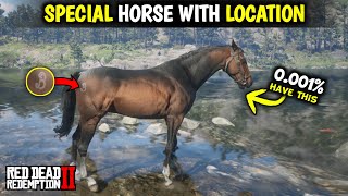 Special Turkoman Horse Location  Red dead redemption 2 [upl. by Siraf]