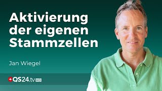 Erhöhen Sie jetzt Ihre StammzellenProduktion  Erfahrungsmedizin  QS24 Gesundheitsfernsehen [upl. by Modestia]