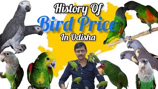 Bird Price  Bird Price In Odisha  Bird Price In Bhubaneswar  History Of Bird Price In Odisha [upl. by Silra]