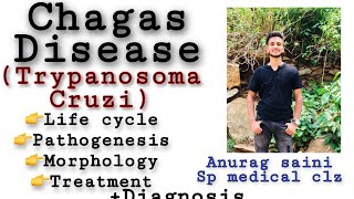 Chagas’ disease  Trypanosoma cruzi  Causes Life cycle  pathogenesis  treatment [upl. by Selec]