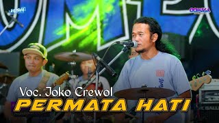 Permata Hati  Joko Crewol ft Omega Music Live Randu Padangan [upl. by Melamed]