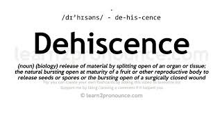 Pronunciation of Dehiscence  Definition of Dehiscence [upl. by Taddeo]