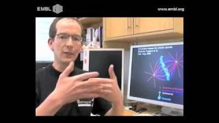 Cell division how chromosomeseparating structure forms [upl. by Auqenaj]