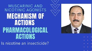 Mechanisms amp pharmacological actions of muscarinic amp nicotinic agonists [upl. by Adnema]