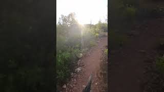 Best singletrack MTB in Sedona Arizona mtblife mtb mtblove sedona sunrise [upl. by Lanny5]