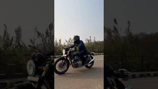 Continental GT 650 flyby with red rooster shorts continentalgt650 redrooster [upl. by Annabal957]