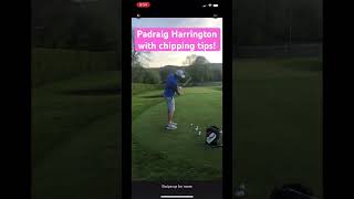 Padraig Harrington with some chipping tips golf padraigharrington livgolf [upl. by Elnora]