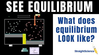 How to Visualize Equilibrium  Using the PhET on Reversible Reactions [upl. by Elleinahc]