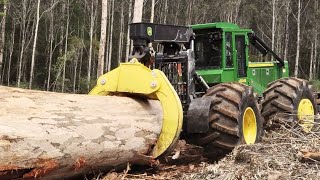 Amazing Forestry Logging Machine in Action  Forestry amp Logging Equipment 1 [upl. by Sybyl]