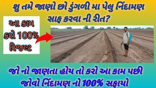 ડુંગળી મા કરો આ કામ પછી જોવો પેલુ નિંદામણ 100 સાફ  pyaj me kharptvar niyantan [upl. by Magdau]