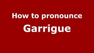 How to pronounce Garrigue SpanishArgentina  PronounceNamescom [upl. by Epstein]