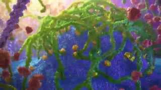 Inner Life of a Cell  Protein Packing Animation [upl. by Marnia]