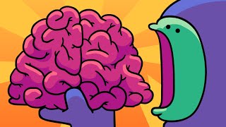 Brain Myths [upl. by Iasi]