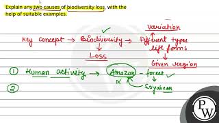 Explain any two causes of biodiversity loss with the help of suitable examples [upl. by Costanza]