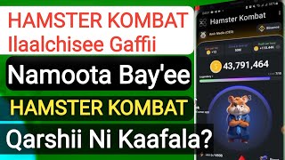 HAMATER KOMBAT Daily Combo Fi Daily Cipher Akkata Itti Fudhatan FI Gaffillee Namota Bayee [upl. by Yaf]