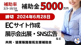 【2024年補助金】まだ間に合う6月締切の補助金｜補助金でECサイト構築や展示会出展など販路拡大を目論む方必見｜共同・協業販路開拓支援補助金 [upl. by Molton913]